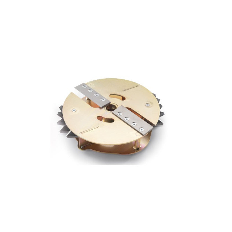 Ceccato Olindo Ceccato Tritone BIG Broyeur de branches thermique